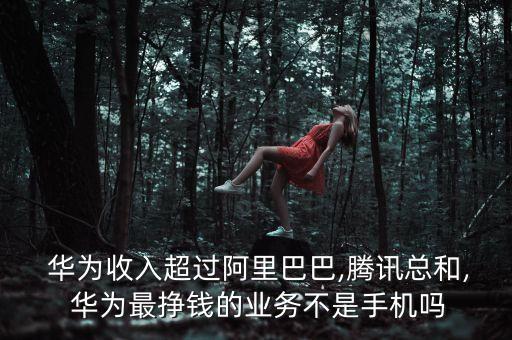  華為收入超過(guò)阿里巴巴,騰訊總和, 華為最掙錢(qián)的業(yè)務(wù)不是手機(jī)嗎