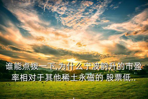 誰能點撥一下,為什么寧波韻升的市盈率相對于其他稀土永磁的 股票低...