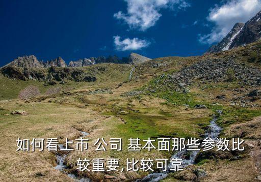 如何看上市 公司 基本面那些參數(shù)比較重要,比較可靠