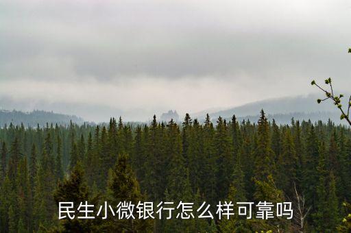 民生銀行樂(lè)收銀商務(wù)平臺(tái)