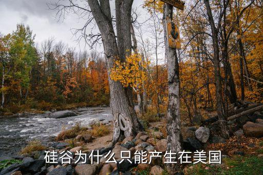  硅谷為什么只能產(chǎn)生在美國(guó)
