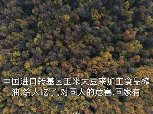 中國進口轉基因玉米大豆來加工食品榨油,給人吃了,對國人的危害,國家有...