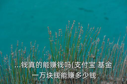 ...錢(qián)真的能賺錢(qián)嗎(支付寶 基金 一萬(wàn)塊錢(qián)能賺多少錢(qián)