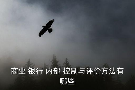 商業(yè) 銀行 內(nèi)部 控制與評價方法有哪些
