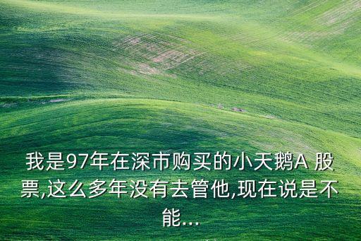 我是97年在深市購買的小天鵝A 股票,這么多年沒有去管他,現在說是不能...