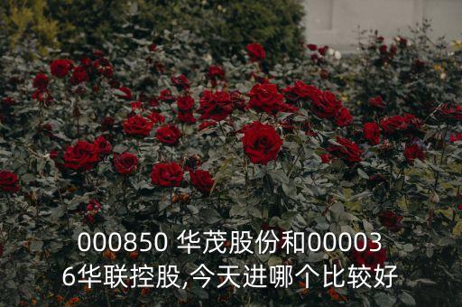 000850 華茂股份和000036華聯(lián)控股,今天進哪個比較好