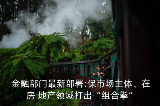  金融部門(mén)最新部署:保市場(chǎng)主體、在房 地產(chǎn)領(lǐng)域打出“組合拳”