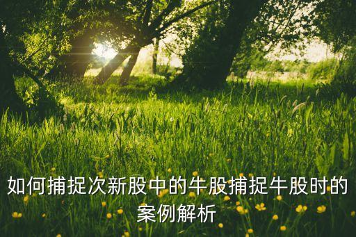 如何捕捉次新股中的牛股捕捉牛股時(shí)的案例解析