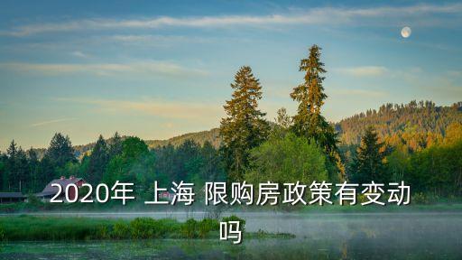 2020年 上海 限購(gòu)房政策有變動(dòng)嗎