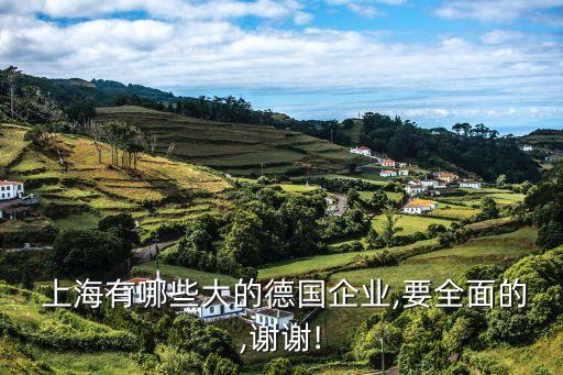  上海有哪些大的德國企業(yè),要全面的,謝謝!