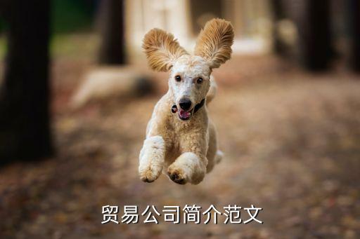 上?；タ茋?guó)際貿(mào)易有限公司,帕太國(guó)際貿(mào)易(上海)有限公司