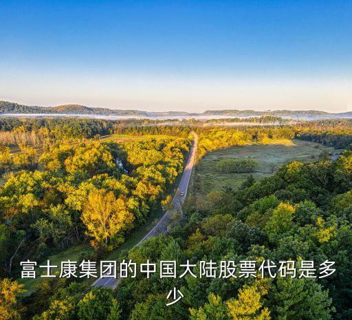  富士康集團(tuán)的中國(guó)大陸股票代碼是多少