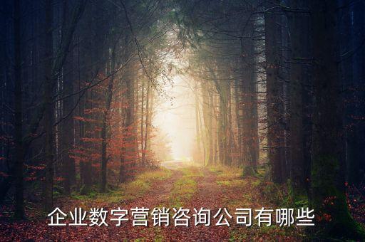 企業(yè)數(shù)字營(yíng)銷(xiāo)咨詢公司有哪些