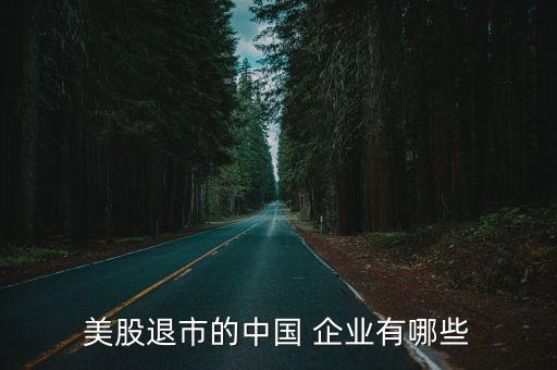 美股退市的中國 企業(yè)有哪些