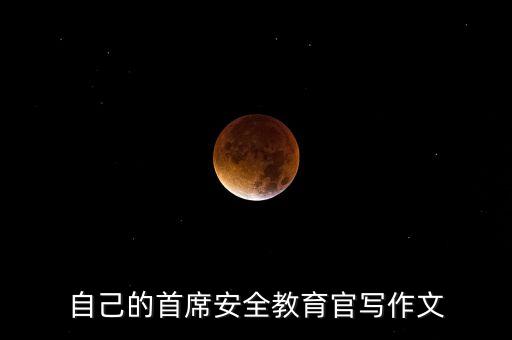 自己的首席安全教育官寫作文