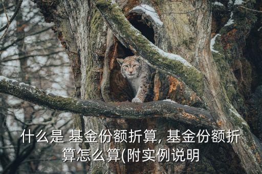 什么是 基金份額折算, 基金份額折算怎么算(附實(shí)例說(shuō)明