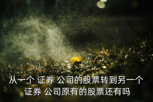 從一個 證券 公司的股票轉(zhuǎn)到另一個 證券 公司原有的股票還有嗎