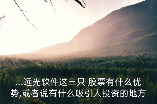 ...遠光軟件這三只 股票有什么優(yōu)勢,或者說有什么吸引人投資的地方