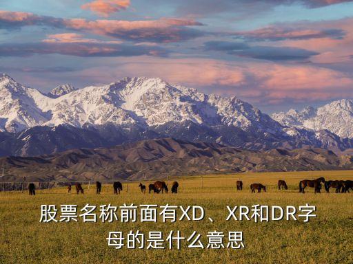  股票名稱前面有XD、XR和DR字母的是什么意思