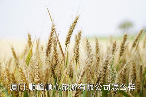 廈門(mén) 順?lè)屙樞穆糜斡邢薰驹趺礃? class=