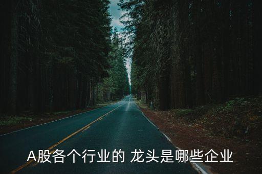A股各個(gè)行業(yè)的 龍頭是哪些企業(yè)