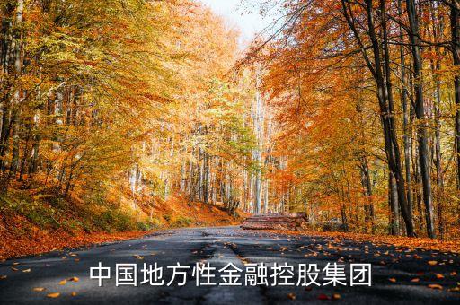中國地方性金融控股集團(tuán)