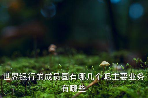 世界銀行的成員國有哪幾個呢主要業(yè)務有哪些