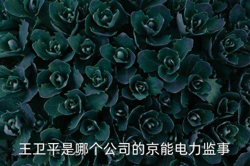 王衛(wèi)平是哪個(gè)公司的京能電力監(jiān)事