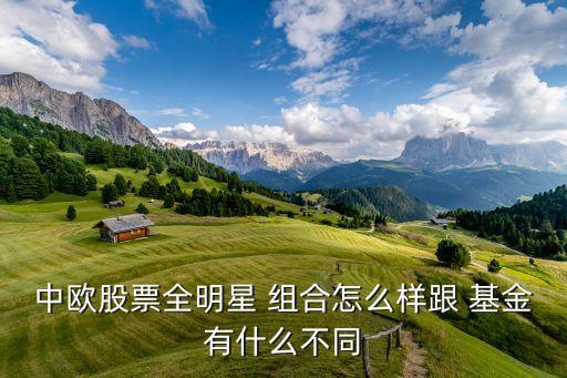 組合型基金