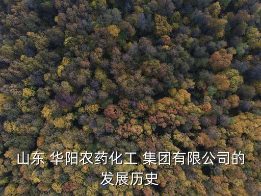 寧陽(yáng)縣華陽(yáng)集團(tuán)新聞,華陽(yáng)經(jīng)貿(mào)集團(tuán)最新消息新聞