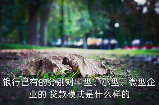 銀行已有的分別對(duì)中型、小型、微型企業(yè)的 貸款模式是什么樣的