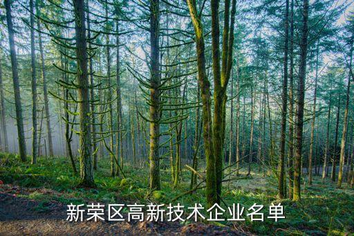 新榮區(qū)高新技術企業(yè)名單