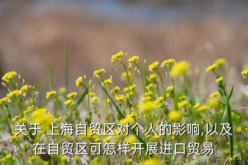 關于 上海自貿(mào)區(qū)對個人的影響,以及在自貿(mào)區(qū)可怎樣開展進口貿(mào)易