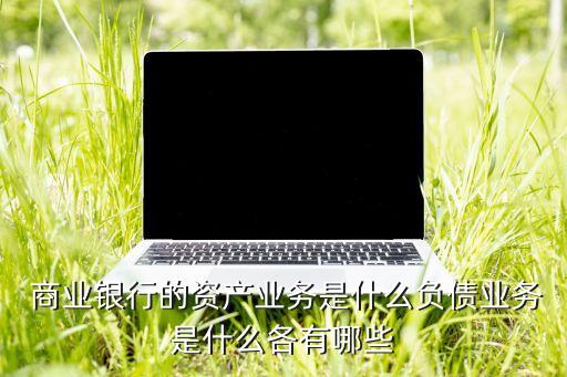  商業(yè)銀行的資產(chǎn)業(yè)務是什么負債業(yè)務是什么各有哪些