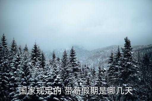 中國帶薪年假