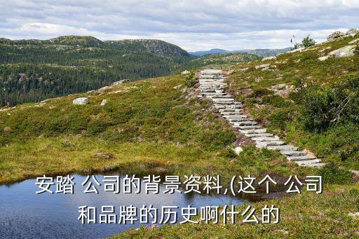 安踏 公司的背景資料,(這個(gè) 公司和品牌的歷史啊什么的