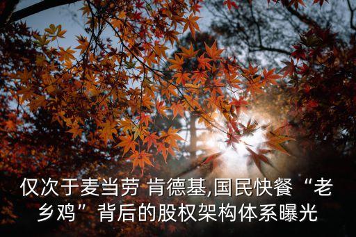 中國(guó)肯德基的股份比例,大眾中國(guó)股份比例