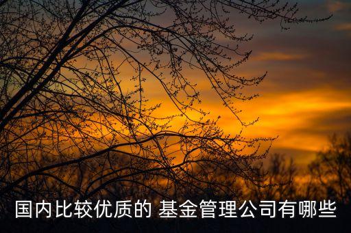 國內(nèi)比較優(yōu)質(zhì)的 基金管理公司有哪些