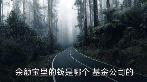  余額寶里的錢是哪個(gè) 基金公司的