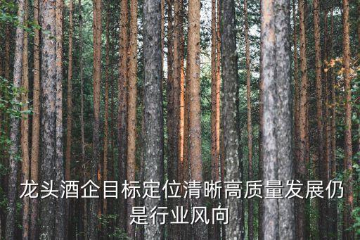  龍頭酒企目標定位清晰高質量發(fā)展仍是行業(yè)風向