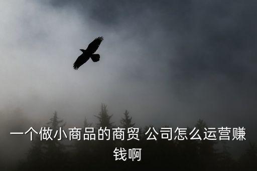 一個做小商品的商貿(mào) 公司怎么運(yùn)營賺錢啊
