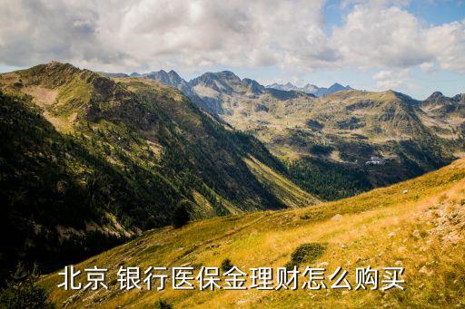 北京 銀行醫(yī)保金理財怎么購買