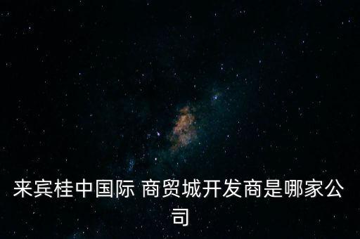 來(lái)賓桂中國(guó)際 商貿(mào)城開發(fā)商是哪家公司