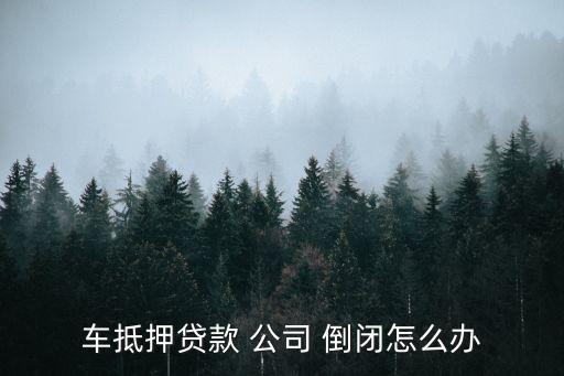 安徽擔(dān)保公司倒閉,擔(dān)保公司倒閉了錢還用還嗎