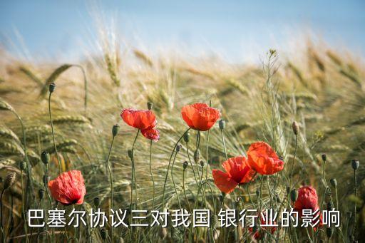 巴塞爾協(xié)議三對(duì)我國 銀行業(yè)的影響