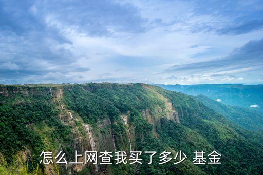 怎么上網(wǎng)查我買(mǎi)了多少 基金