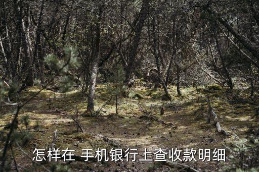 怎樣在 手機(jī)銀行上查收款明細(xì)