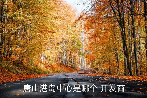 唐山豐南港建設(shè)開(kāi)發(fā)有限責(zé)任公司,吉林市豐南化工有限責(zé)任公司