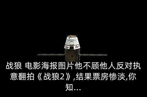 戰(zhàn)狼 電影海報(bào)圖片他不顧他人反對執(zhí)意翻拍《戰(zhàn)狼2》,結(jié)果票房慘淡,你知...