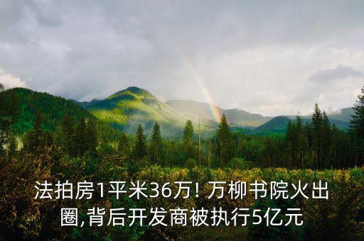 法拍房1平米36萬(wàn)! 萬(wàn)柳書院火出圈,背后開(kāi)發(fā)商被執(zhí)行5億元